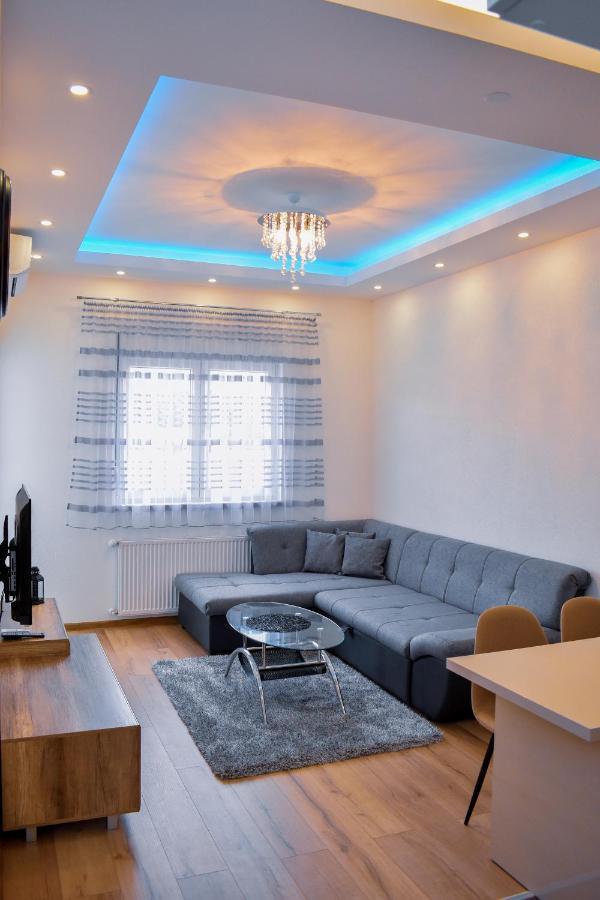 Apartman Blagojevic Banja Koviljaca Exterior photo